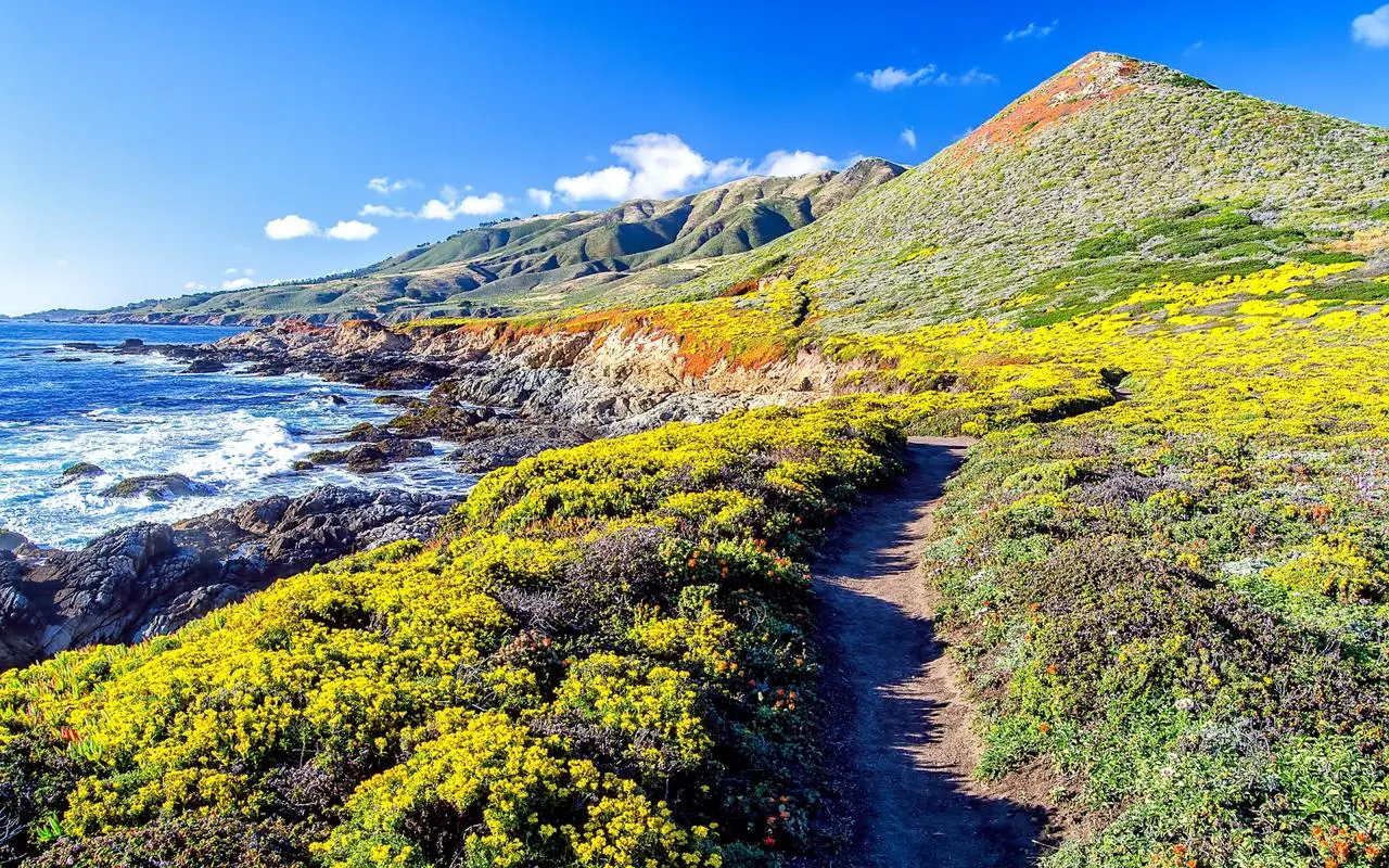 独特创新创新